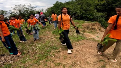 Environment Day Photo 10